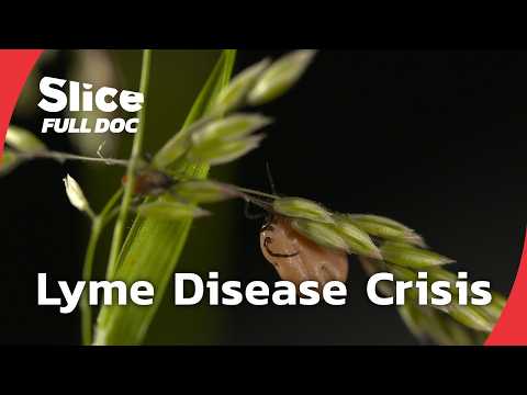 The Lyme Disease: A Silent Epidemic | FULL DOCUMENTARY