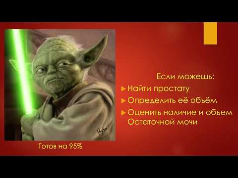 УЗИ простаты. УЗИ в урологии - 2025. Станислав Феданов.