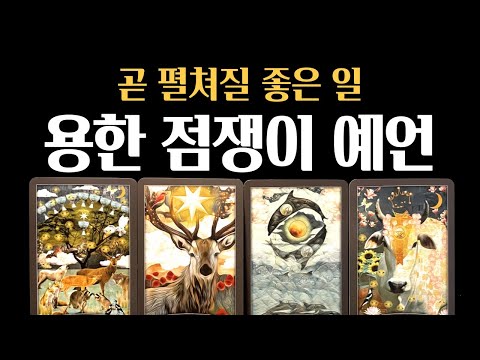 [타로] 🌙용한 점쟁이의 예언❗ 곧 펼쳐질 좋은 일 ✨진심으로 기원합니다🕯️