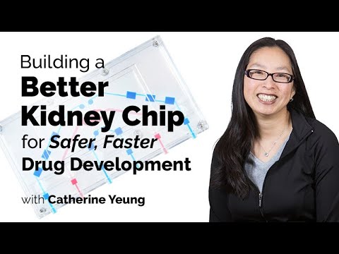 Bioengineering a Kidney Chip for Better, Safer, and Faster Drug Development
