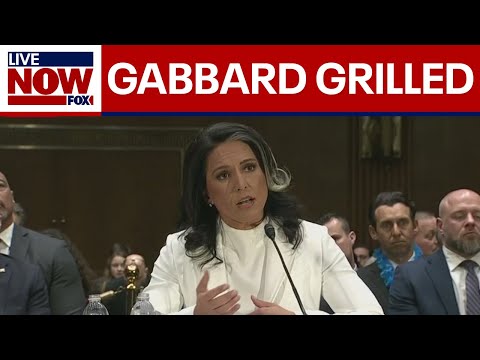 Tulsi Gabbard grilled on Edward Snowden at hearing | LiveNOW from FOX