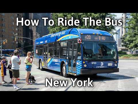 How to Ride the Bus in New York City (What to do and Not do)