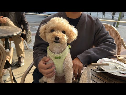 A Cozy Autumn Day with Big Brother and Little Sis 🍂