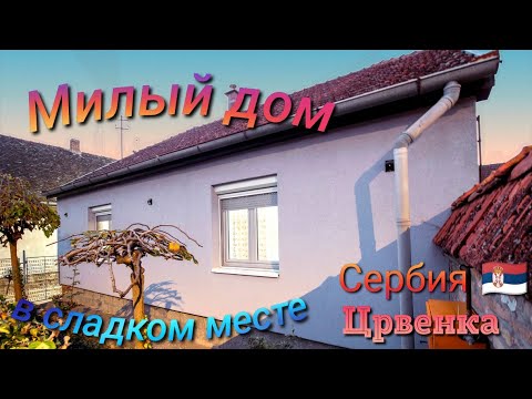 Милый дом в сладком месте. #сербия  #домавсербии