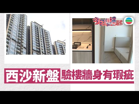 TVB今日有樓睇｜2026年01月14日｜西沙新盤　驗樓牆身有瑕疵｜樓市｜樓盤