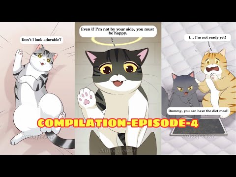 Compilation These Cats Will Melt Your Heart… and Break It Too! - Ep. 4