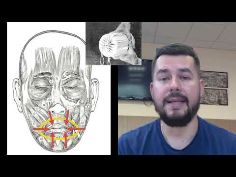 Постановка при игре на трубе | Апертура губ | Евгений Алимов - трубач, педагог