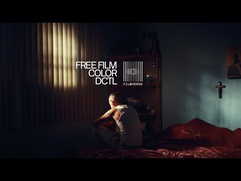 A solid (free) film emulation, grain & halation dctl