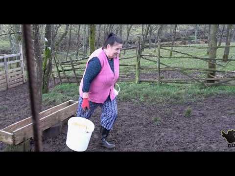 Nisam radila u preduzeću,muž napustio mene i kćerku.Kakva penzija