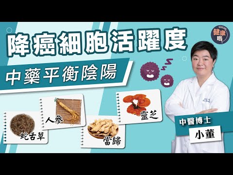 拆解癌症戒口傳聞 授正確飲食法｜中醫藥降低癌細胞活躍度 雲芝靈芝溫和補益提元氣｜中醫博士小董教 與癌共存靠平衡陰陽｜健康嗎 @健康嗎 Health Code【健康開講】