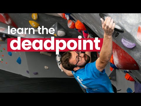 Will Bosi Coaching His Top 3 Techniques