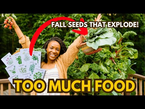 Plant These Fall Seeds: Harvest in 30 Days & All Winter