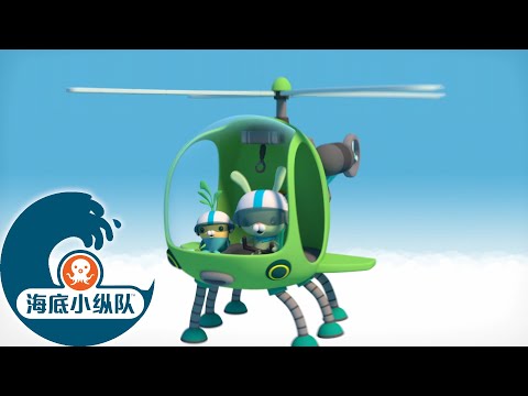 海底小纵队 - 海象宝宝 | 海底探险