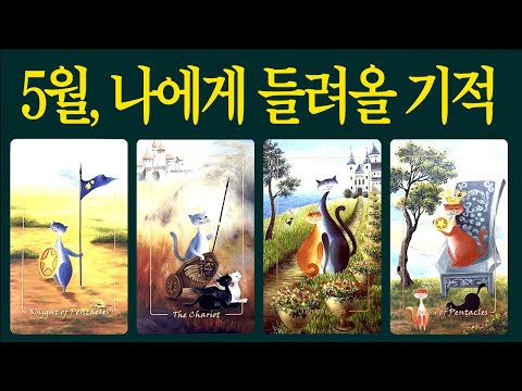 [타로] 가장 마음에 드는 카드를 선택해보세요🧧 5월 당신에게 들려올 기적같은 소식을 알려드립니다 #타로운세 #타로행운