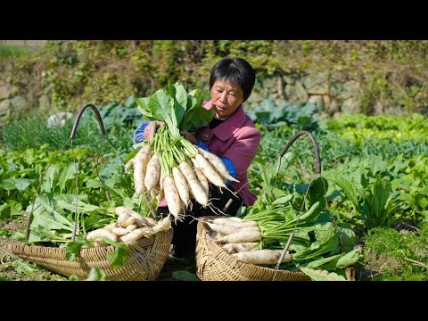 Pull out a radish in one hand  pickle radish  pickled pickled cabbage  dried radish  golden crisp