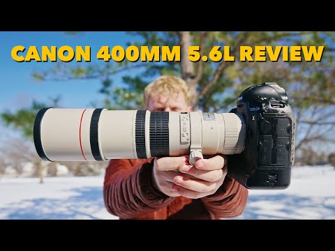 The Canon 400mm 5.6 is the BEST Budget Wildlife Lens