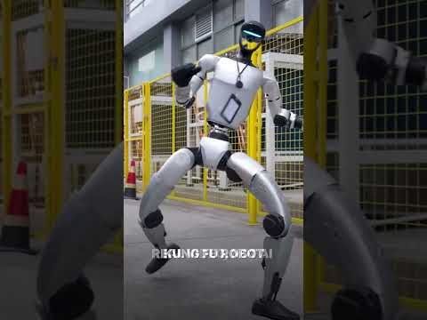 Who's cooler? Kung Fu Robot Unitree G1 or Kung Fu Panda? 🐼 VS 🤖 | PRO Robots