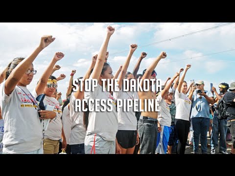 Shailene Woodley wants you to help the fight against the fossil-fuel industry