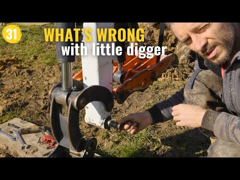 31 - Renovation Of Our Old Barn. Excavating & Clearing More Overgrown Land.