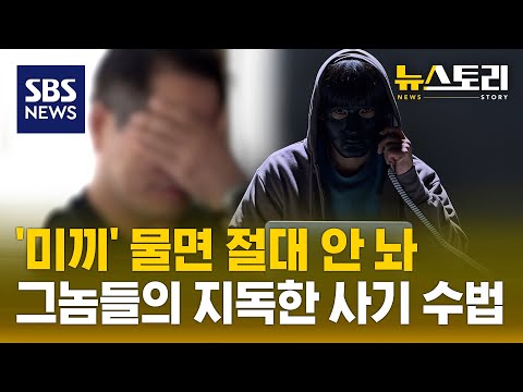 비대면 사기 들끓는데..범인 못 잡고, 돈 못 찾고 (뉴스토리) / SBS