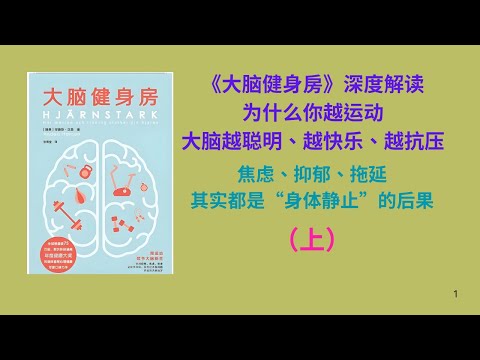 《大脑健身房》深度解读：为什么你越运动，大脑越聪明、越快乐、越抗压；焦虑、抑郁、拖延，其实都是“身体静止”的后果（上）