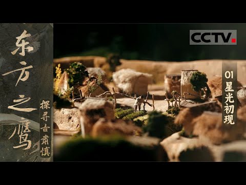《东方之鹰——探寻古肃慎》01 星光初现：揭秘东北历史的开篇 探寻肃慎古国的神秘面纱！【CCTV纪录】