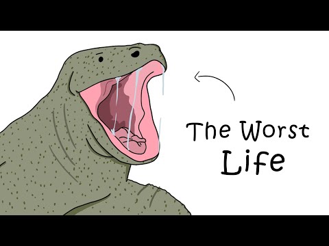 Why It Sucks to Be Born as a Komodo Dragon