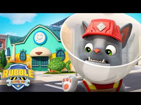 Charger Gets a Boo-Boo & Goes to the Vet! w/ Rubble | Rubble & Crew