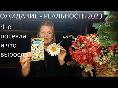 Ожидание - реальность 2023 г.