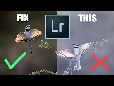 The amazing LIGHTROOM TECHNIQUE I can't live without.