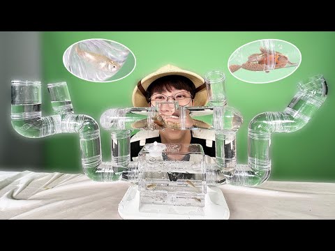 미로수조 만들기 도전!