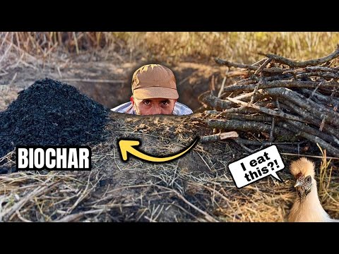 How to Make Biochar + 3 Easy Ways to Inoculate It for Healthy Soil
