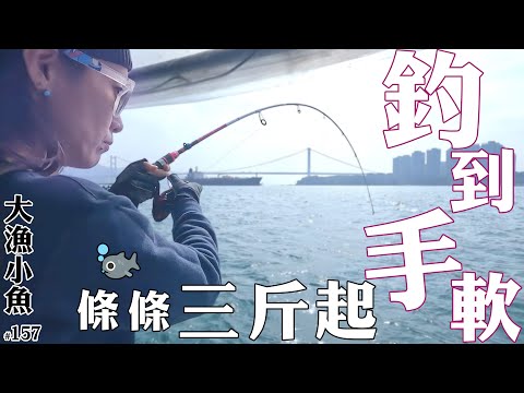 釣到手軟 條條三斤起不停上┃大漁小魚#157 ┃ 中文字幕