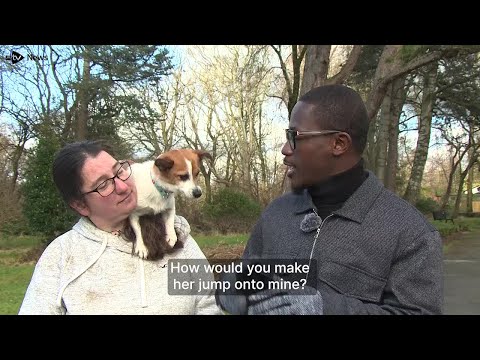 Skittles steals the spotlight in STV News report