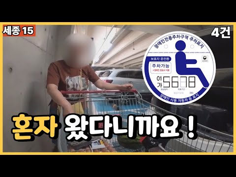 세종15. 무지와 신념 (장애인전용주차구역 주차표지 공문서위조, 위조공문서행사, 공문서부정행사) 1080만원