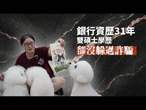 我是國際反洗錢師，卻被騙光3200萬：揭開詐騙集團「養套殺」的劇本
