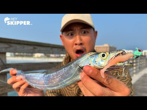Pier Fishing: Have You EVER Caught THIS Fish? (Long, Silver, Metallic Ribbon Fish) Catch & Cook