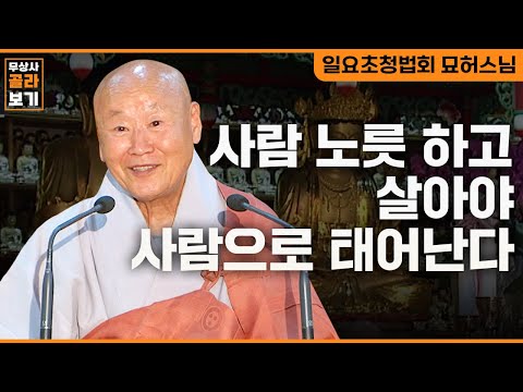 사람 노릇 하고 살아야 사람으로 태어난다 [무상사 골라보기 묘허스님]
