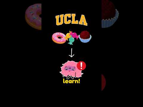 Why Sweets Make You Stupid