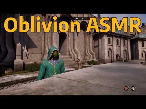 Argonian Realtor Helps You Choose a Home | Oblivion Remastered ASMR