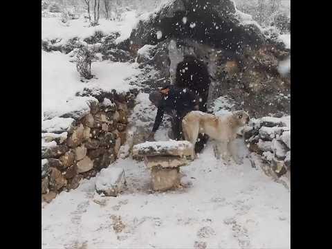 I cook in my cave that I made  #cooking #bushcraft #diy #winter #survival #camping