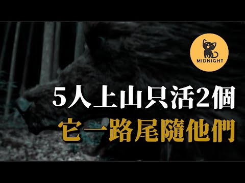 暑假上山旅遊，遭遇猛獸追擊，可怕的福岡大學棕熊事件