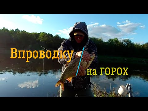 Впроводку на ГОРОХ/с УДОЧКОЙ на РЕКЕ/Как ловить на горох
