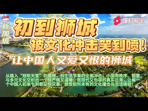 中国人眼中新加坡：当“规矩天堂”遇上“烟火人间”，文化冲击、生活差距与舌尖较量全面开撕——你以为的新加坡，其实完全不是那回事！#香港#臺灣#新加坡#馬來西亞#美國#华人