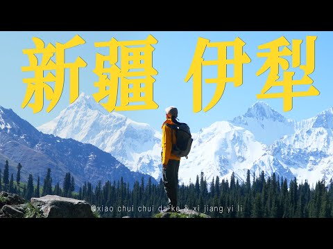 【伊犁】vlog上｜新疆夏天的草原，我帮你们看过啦，伊犁的夏天实在是太美了