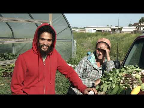 To Live Local: Stories of Regenerative Agriculture