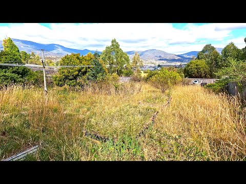 Garden Jungle Neglected for Six Years | Transformed Over 3 days!