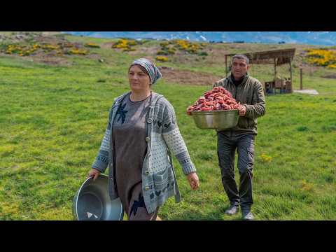 Unforgettable Homemade Beef Stew: A Cozy Cooking and Busy Village Life