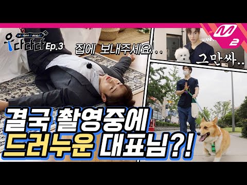 [우다다다] 동물병원부터 이모티콘 모델까지 다 해드립니다! 다원 대표님이 댕냥이를 춤추게 해🐶🐱 | 우리 다원이가 다 해드립니다 Ep.3 (ENG SUB)