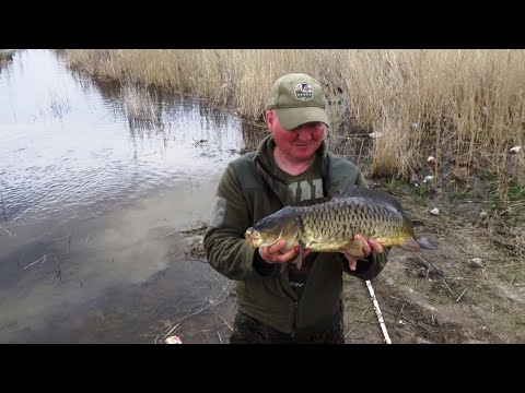 Язь и даже сазан на блесну. Бешеный клев  рыбы в Сибири.